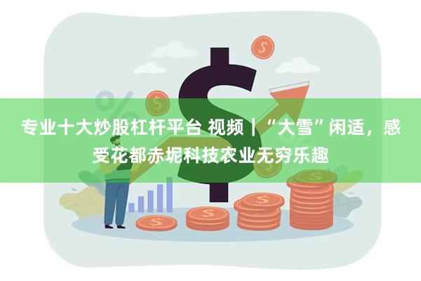 专业十大炒股杠杆平台 视频｜“大雪”闲适，感受花都赤坭科技农业无穷乐趣