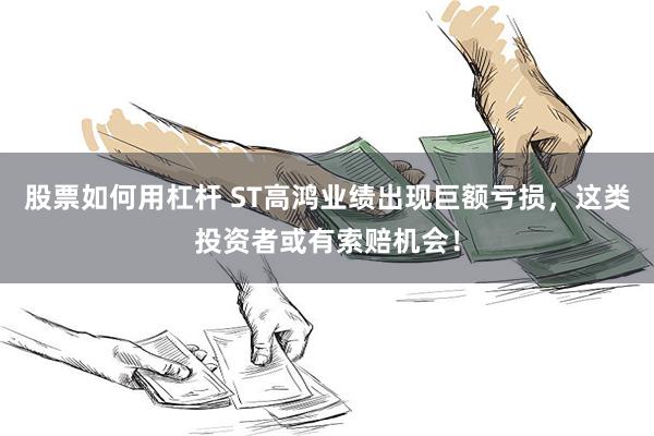 股票如何用杠杆 ST高鸿业绩出现巨额亏损，这类投资者或有索赔机会！