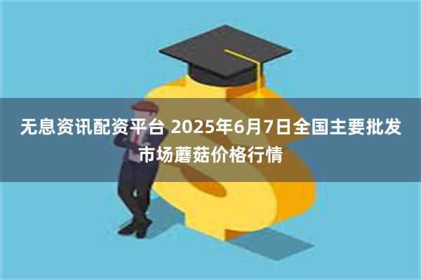 无息资讯配资平台 2025年6月7日全国主要批发市场蘑菇价格行情