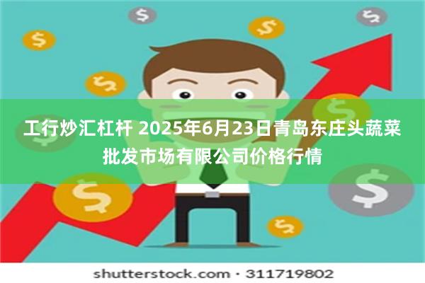 工行炒汇杠杆 2025年6月23日青岛东庄头蔬菜批发市场有限公司价格行情