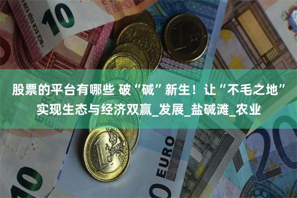 股票的平台有哪些 破“碱”新生！让“不毛之地”实现生态与经济双赢_发展_盐碱滩_农业